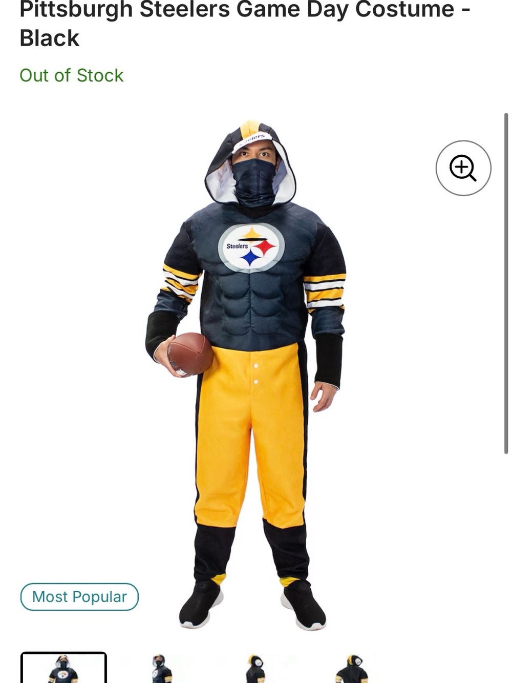 Halloween Pittsburgh Steelers Game Day Costume